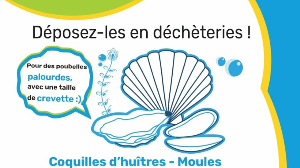 Collecte coquilles