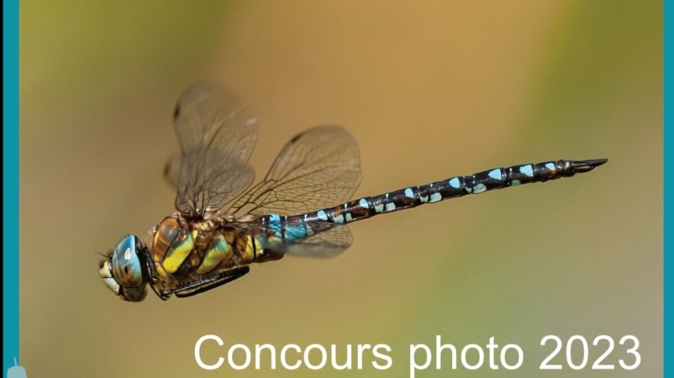 Concours photo
