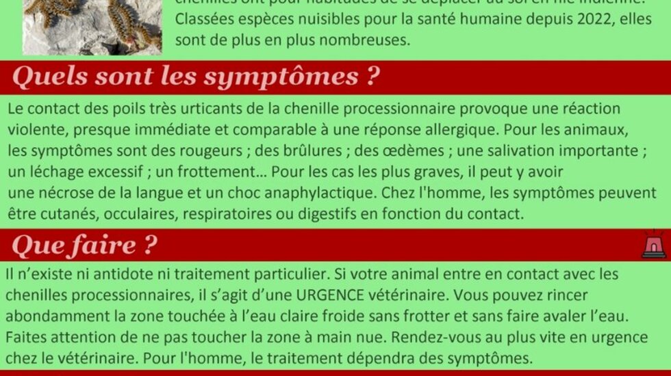 Attention aux chenilles