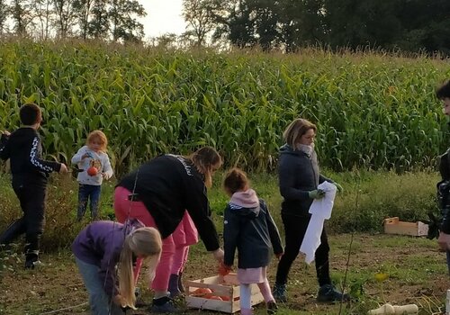 ramassage des courges par les enfants de l'école