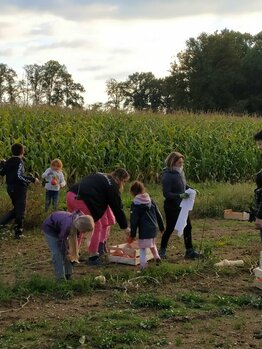 ramassage des courges par les enfants de l'école