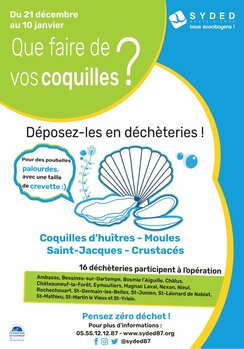 Collecte coquilles