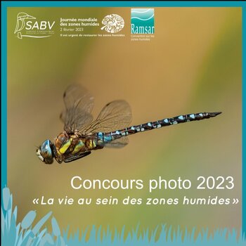 Concours photo